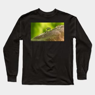 Morning Dew Long Sleeve T-Shirt